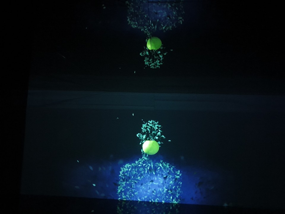 뮤지엄 그라운드